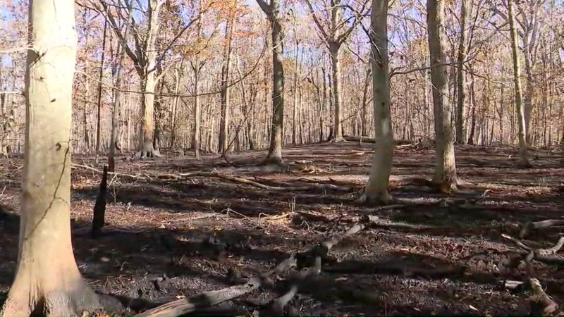 Story image: Wildfires spark across Long Island amidst drought conditions