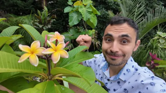garden alex