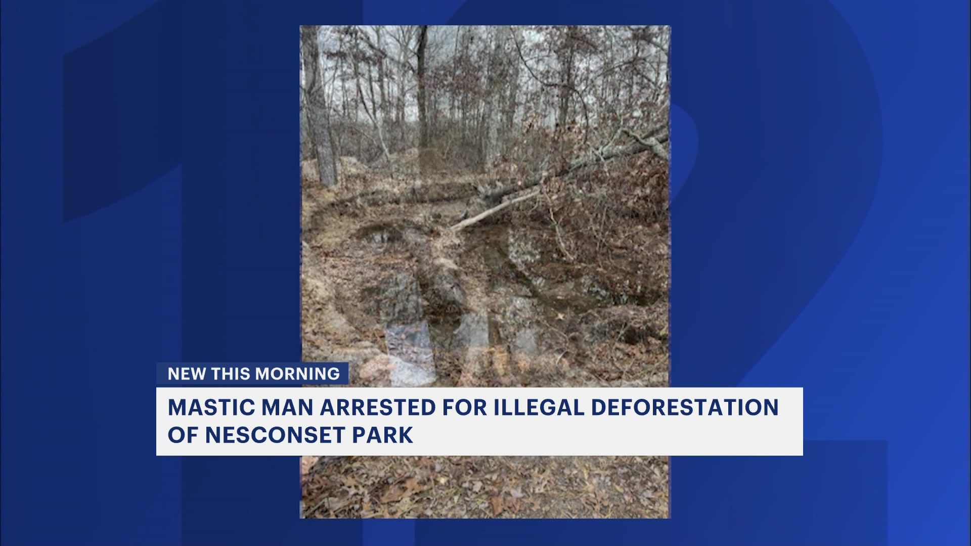 Suffolk DA: Man carved personal 'hangout' spot in woods of Nesconset park