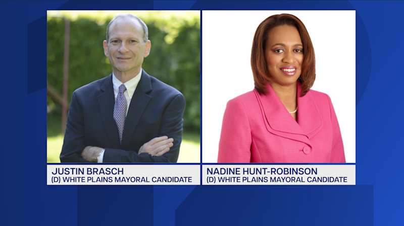 Story image: Power & Politics: Democratic primary for White Plains mayor