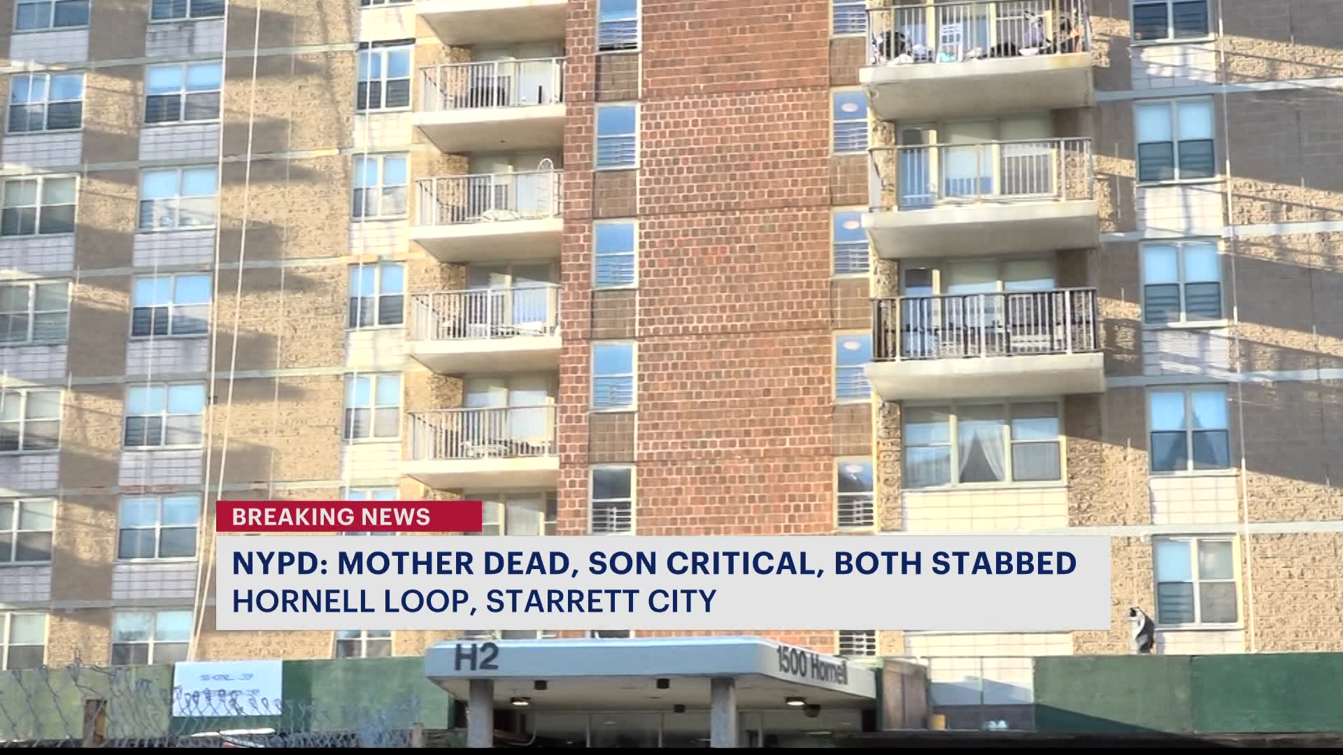 纽约市警察局：Starrett City公寓内母子遭刺伤