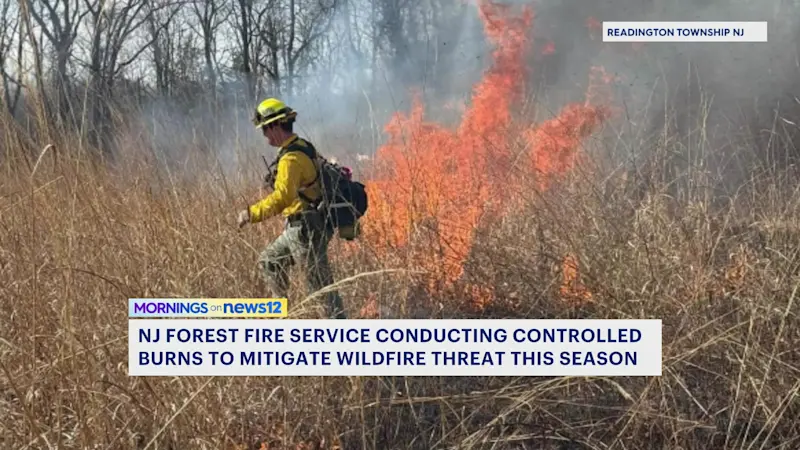 Story image: Controlled burns starting up in New Jersey to help mitigate spring forest fire season