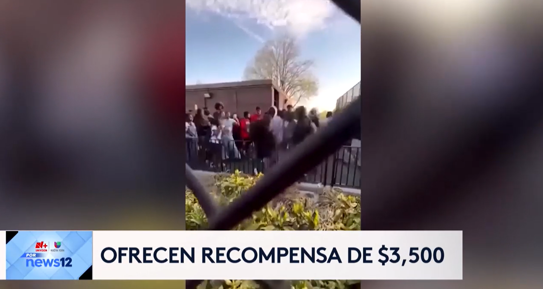 Screenshot 2026-04-17 191749