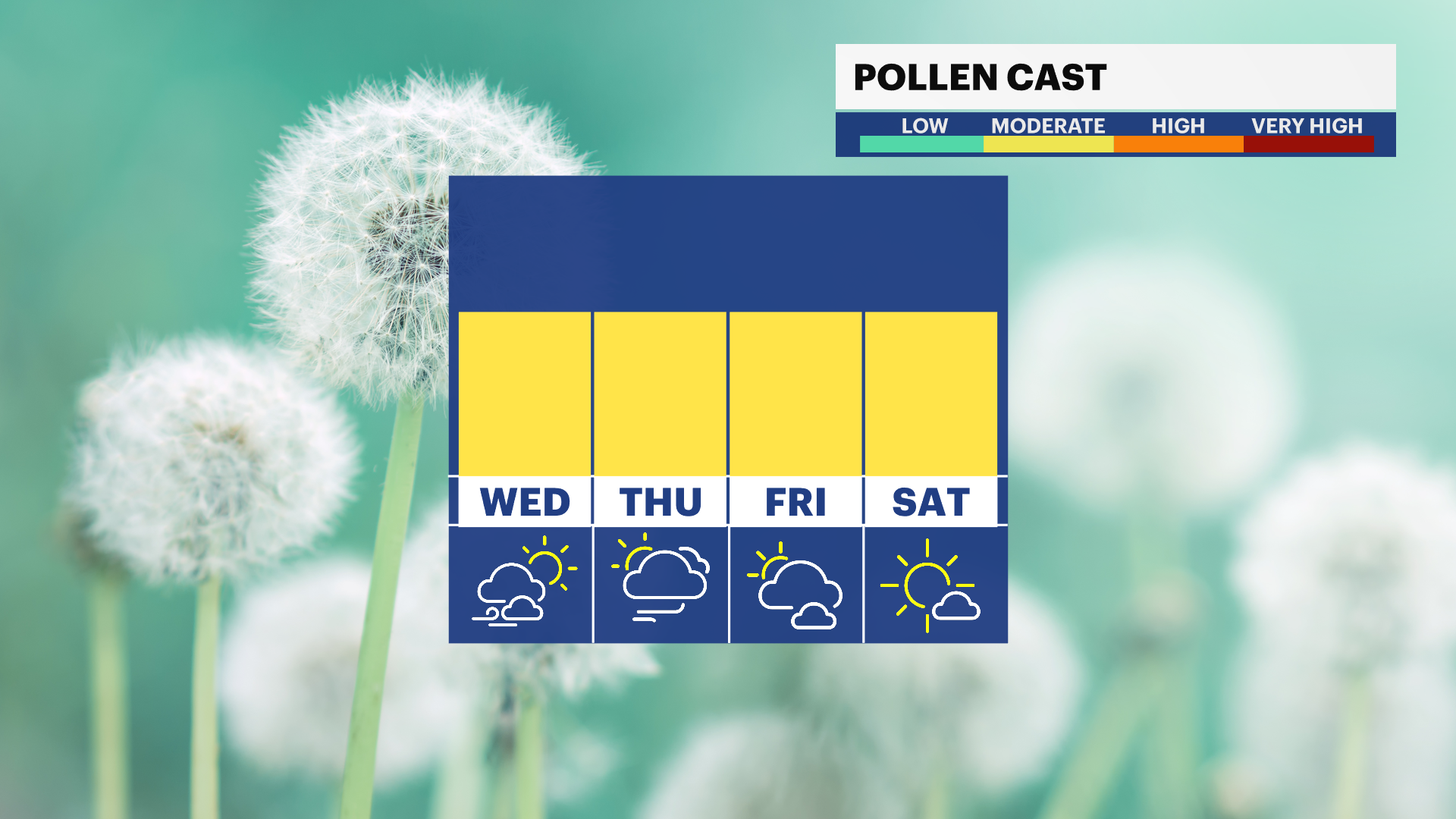 F_Pollen.png