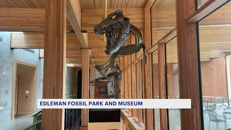 Story image: Paleontologist shows News 12 66 million-year-old fossils found in New Jersey