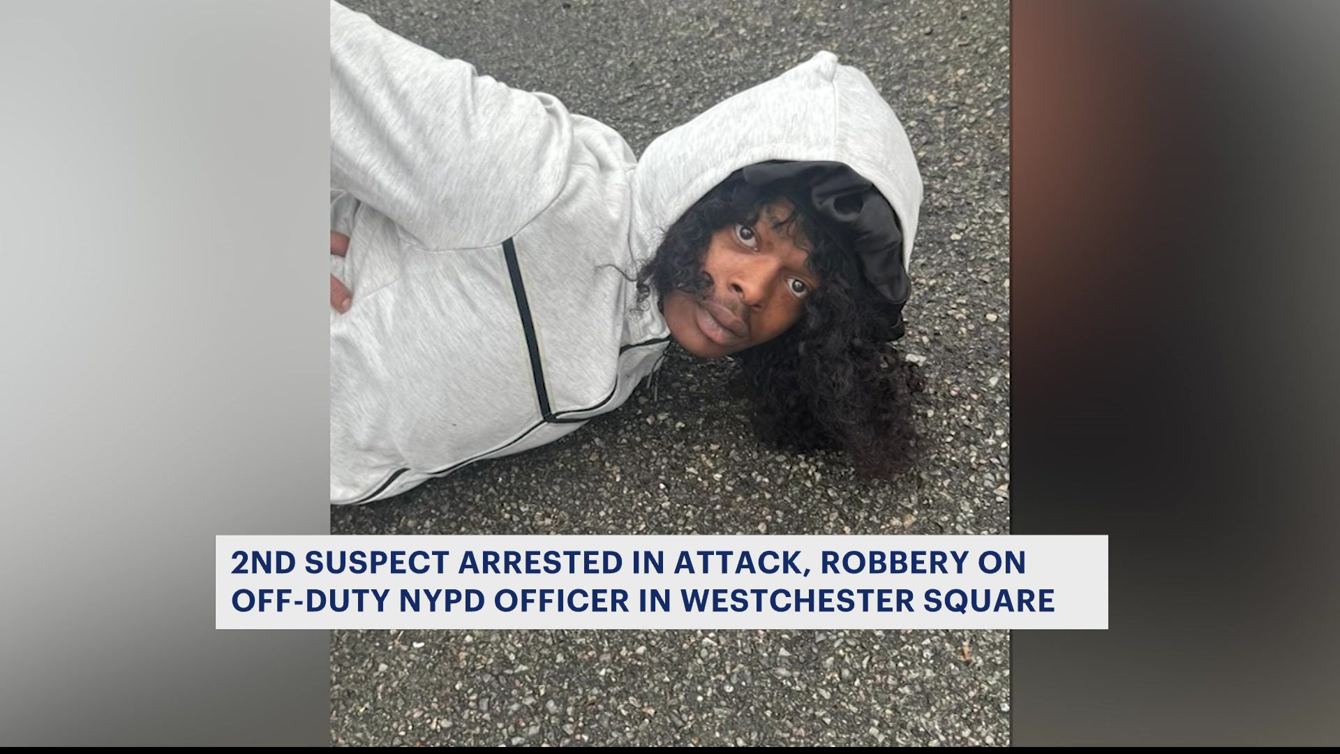 News 12 | New York | Second man arrested in brutal attack, robbery of ...