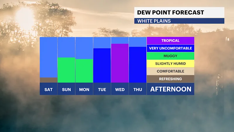 FB_Dewpoint_Daily.png