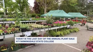 Plant lovers flock to Farmingdale State College for annual plant sale