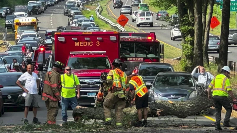 Story image:  DOT reaffirms commitment to keep roads safe following fallen tree incident on Route 15 that injured 2 in Orange