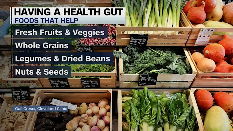 Story image: Gut health: Health expert provides tips for  healthier digestive lifestyle