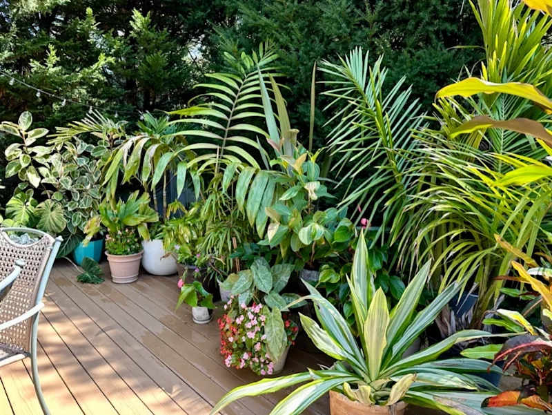 garden theme.jpeg