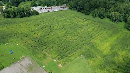 CTDollyMaze831_2026-08-31-16-37-13