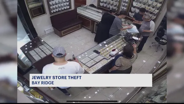 Suspects caught on camera robbing jewelry store in Bay Ridge 