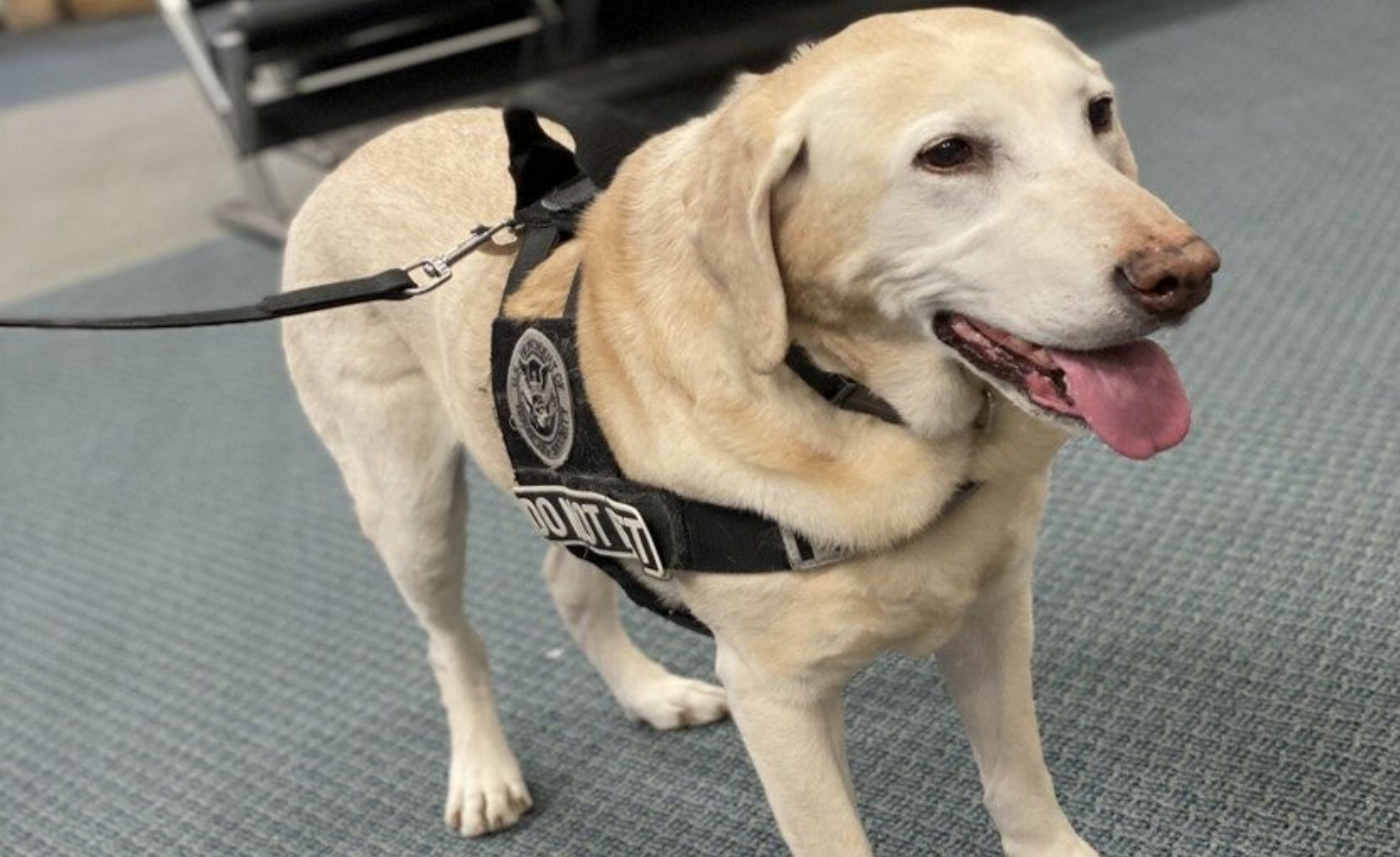 Article 253514 Hero Image