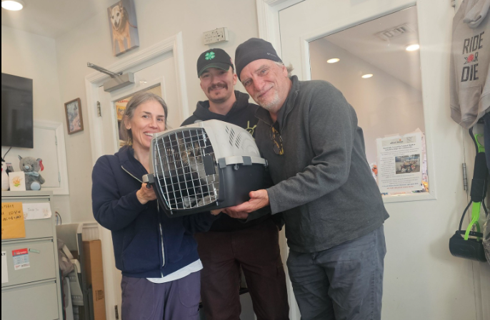 Story image: Family reunited with lost cat after 10 years, thanks to microchip