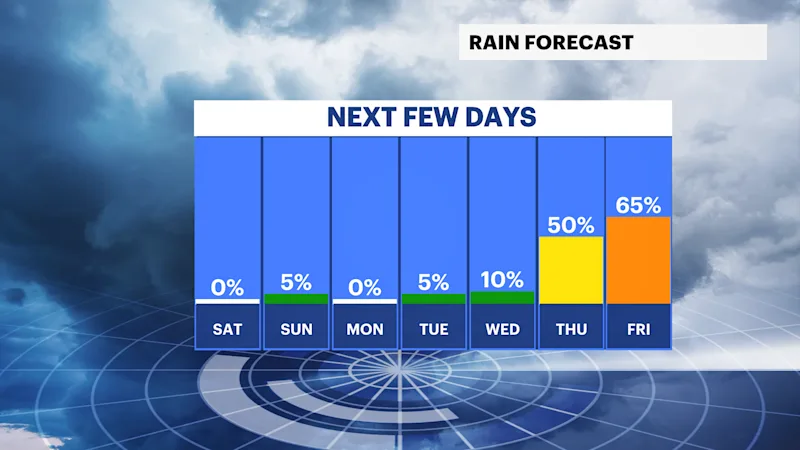 DAILY RAIN.png