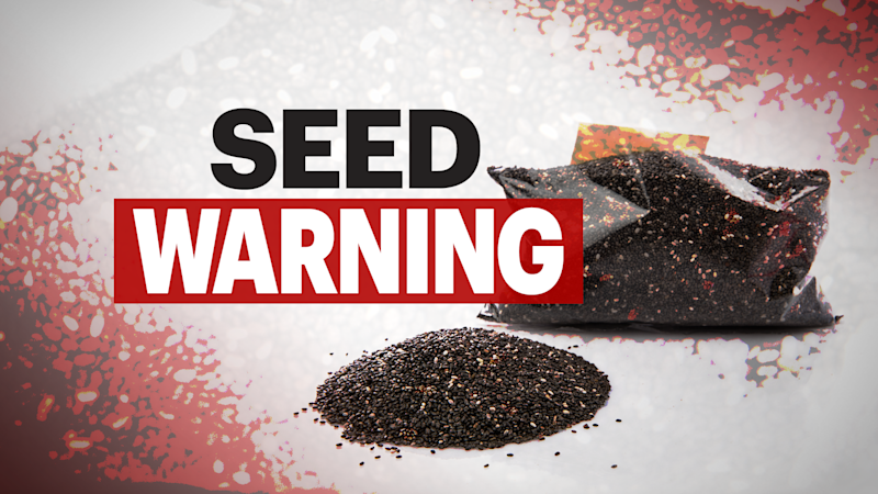Story image: CT residents urged to dispose of ‘suspicious’ seed packages; here’s what to do