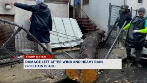 Checking in on city conditions following damaging storm in Brooklyn