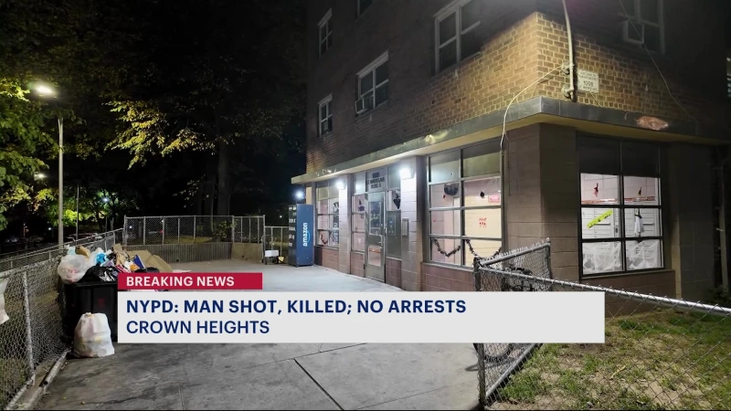 Story image: Man fatally shot at NYCHA complex; police search for suspects