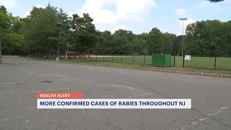 Story image: More cases of rabies found in Middlesex, Burlington counties this week