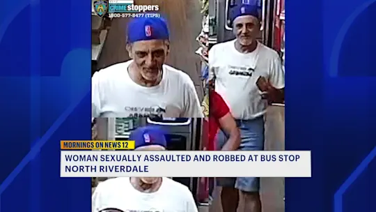 5A Violent Sexually Motivated Robbery ST_2026-07-17-05-32-48