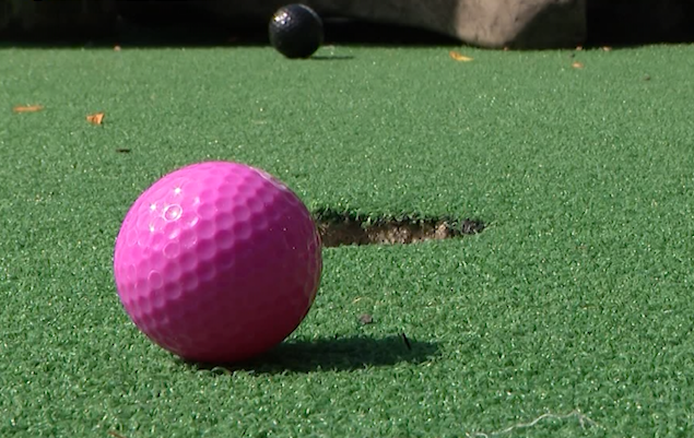 image - 2024-09-26T130502.812