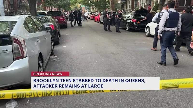 Story image: Brooklyn teen stabbed to death in Queens, police searching for suspect
