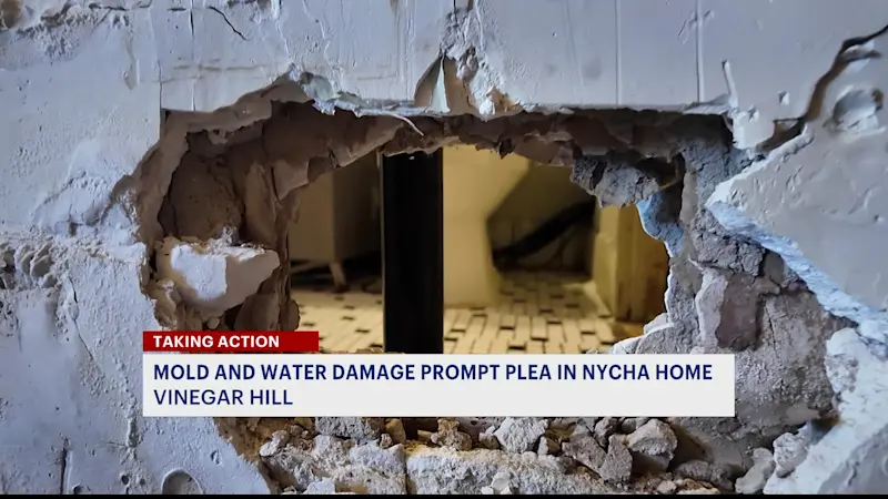 Story image: Vinegar Hill family says water damage, mildew still unresolved after NYCHA inspections
