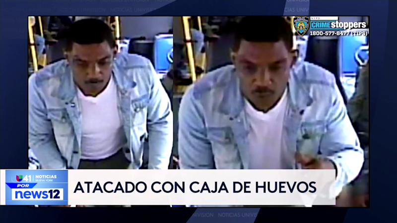 Story image: Univision 41 News Brief: Buscan a hombre por agredir a un pasajero de autobús con una caja de huevos