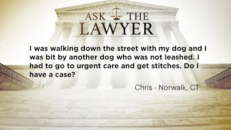 Story image: Ask the Lawyer: Dog owner was bit by another dog who was not leashed