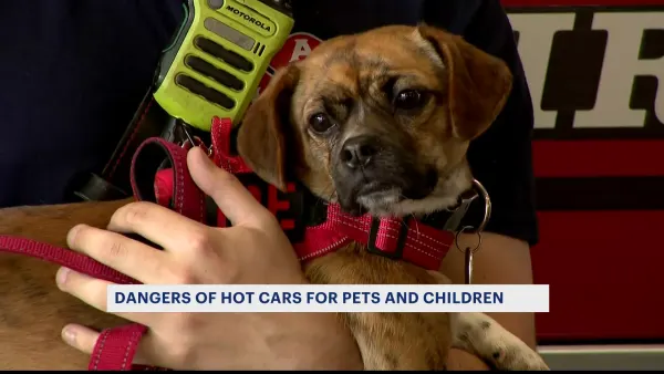 East Haven fire officials and doctors warn people of the dangers of leaving pets and children in hot cars