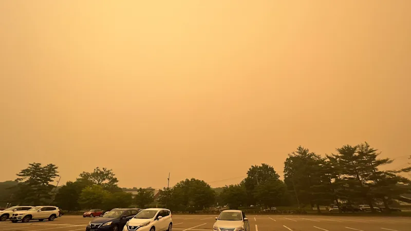 WILDFIRE7.png