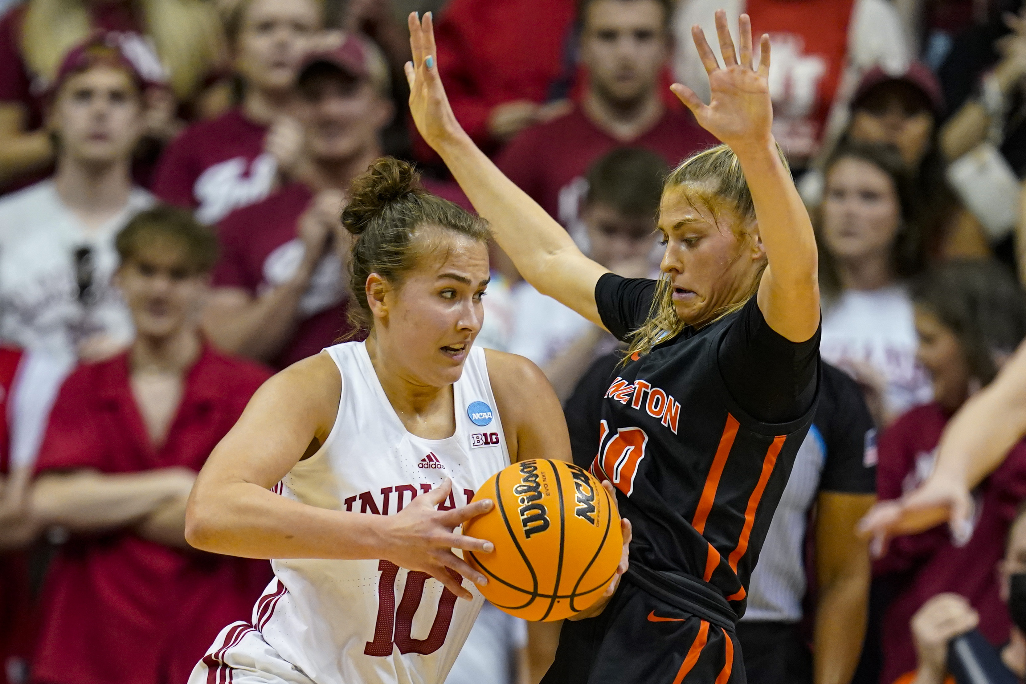 Article 288388 Hero Image