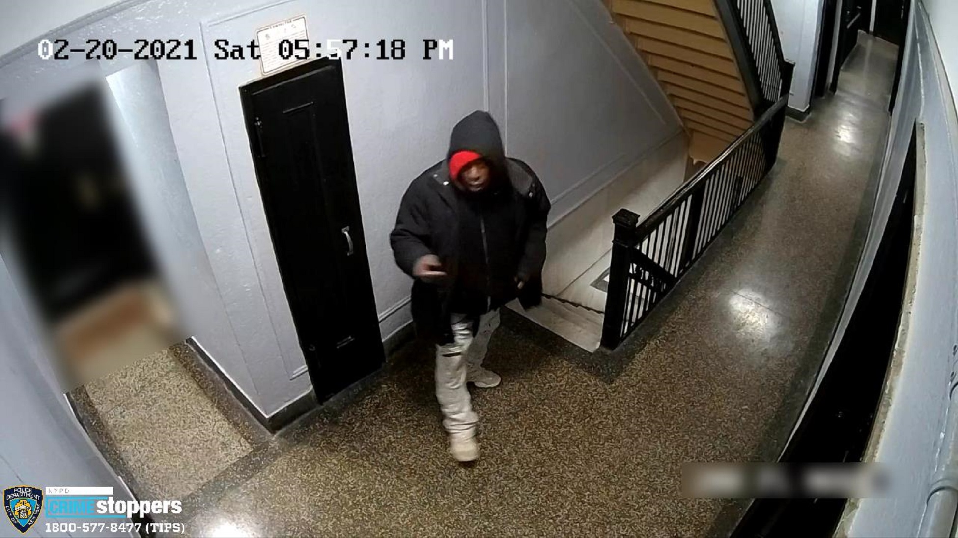 Article 253347 Hero Image