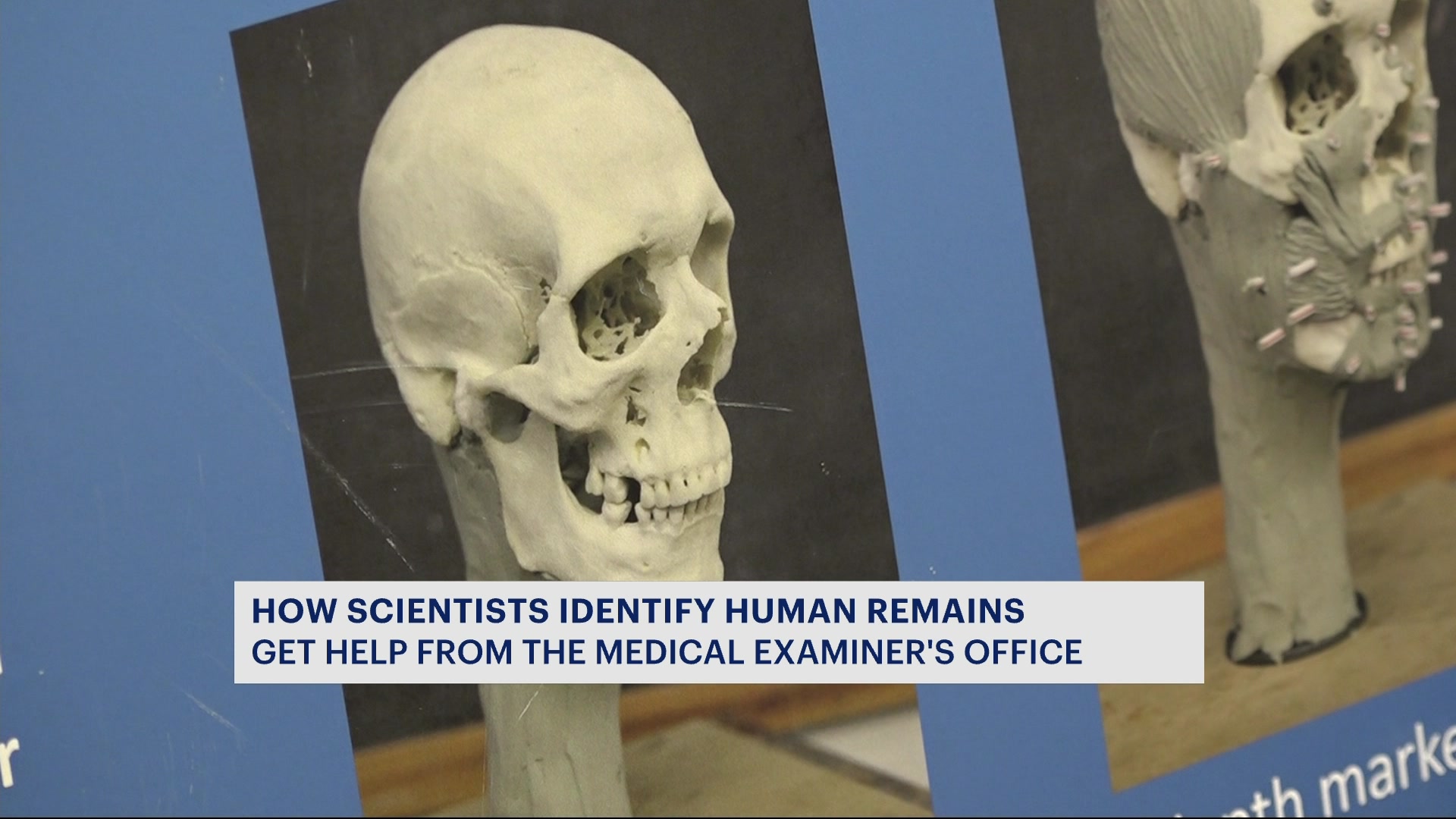 Bronx families to meet one-on-one with scientists who piece together missing persons cases