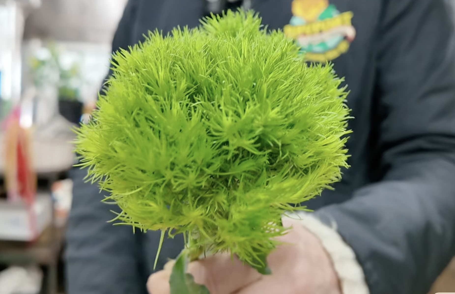 Screenshot 2026-02-09 at 10.04.58 AM.png