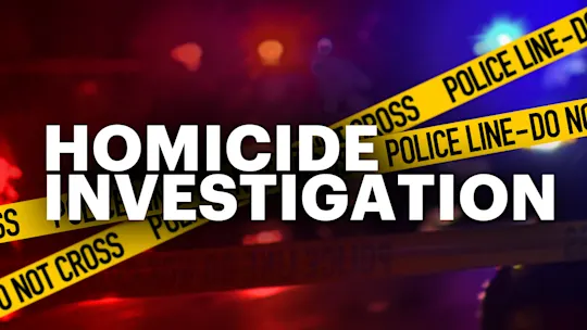Homicide investigation generic