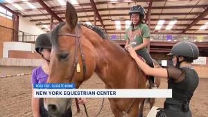 Saddle up and go horseback riding at the New York Equestrian Center