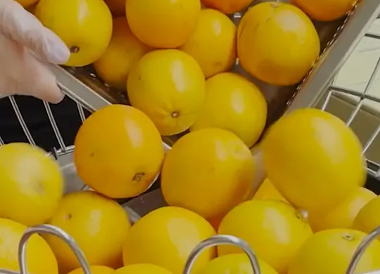 OJ