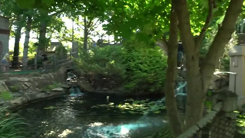 Story image: Go on a tropical escape with the family at Tiki Action Park in Centereach