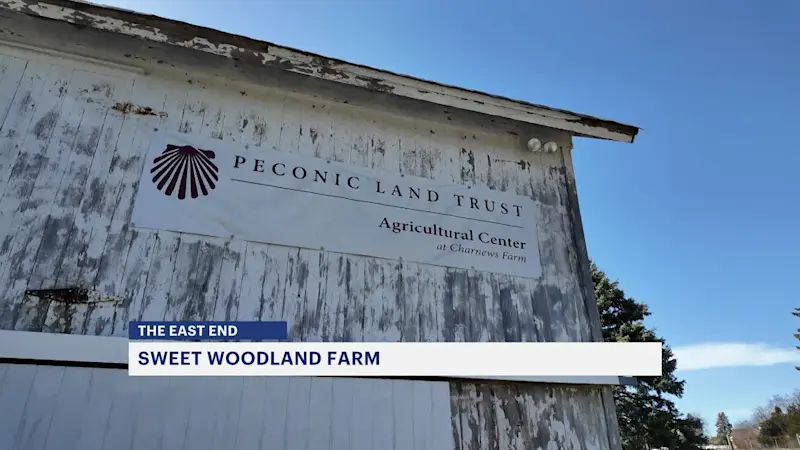 Story image: East End: Sweet Woodland Farm