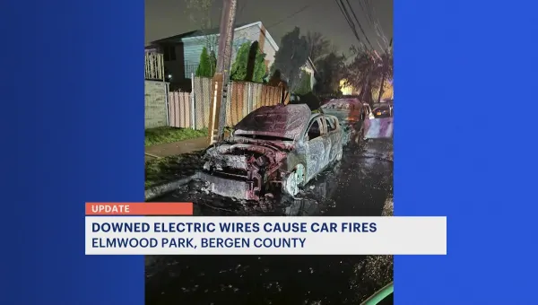 Downed wires cause car fires in Elmwood Park; no injuries