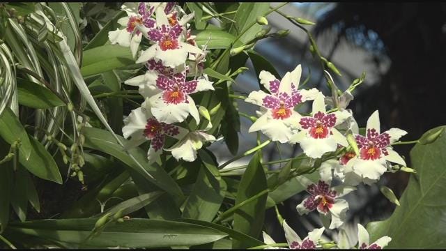 Article 108545 Thumbnail