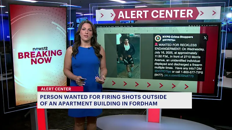 Story image: Police looking for person who fired shots at crowd in Fordham