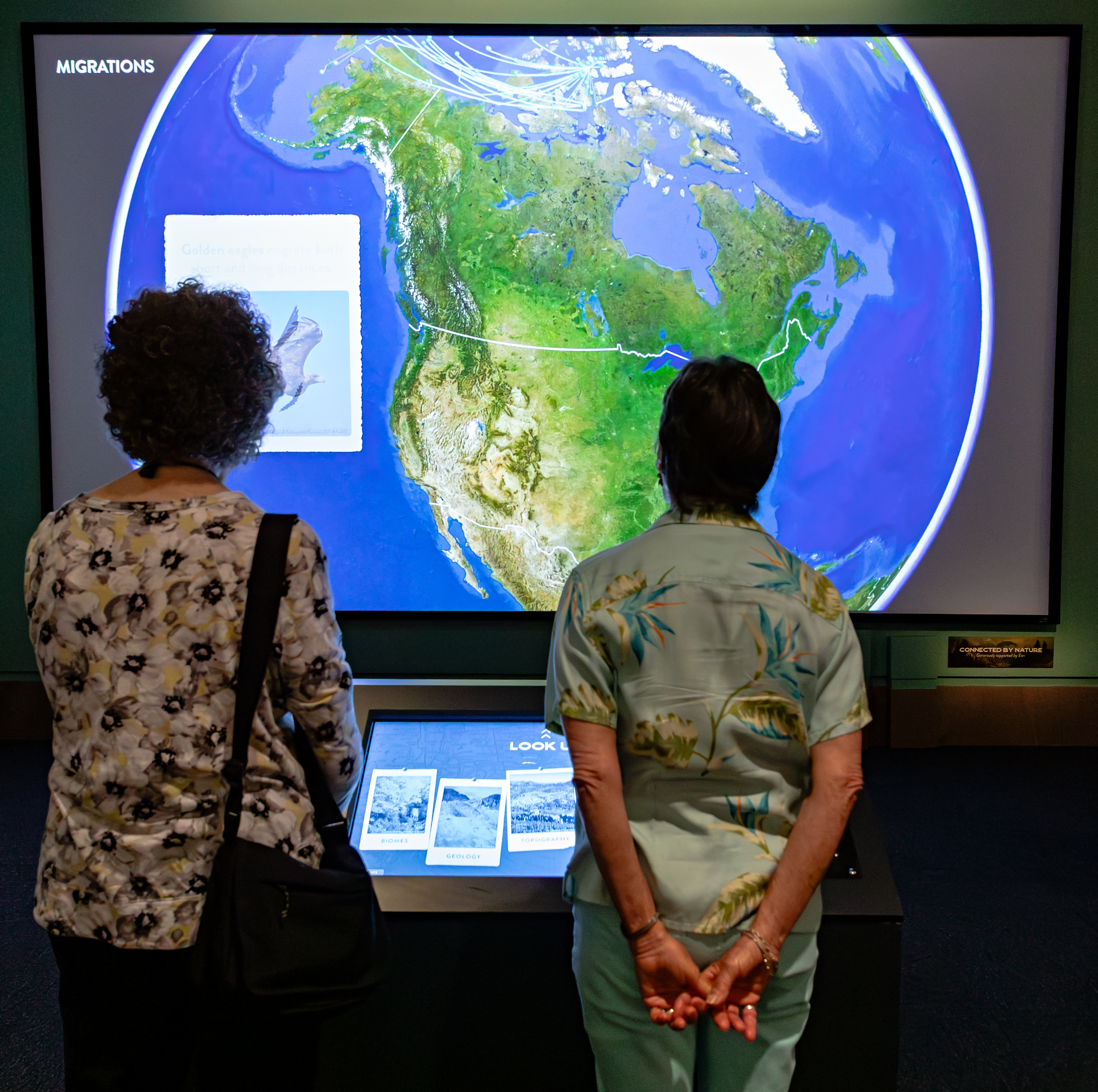 NMNH-2026-01093.jpg