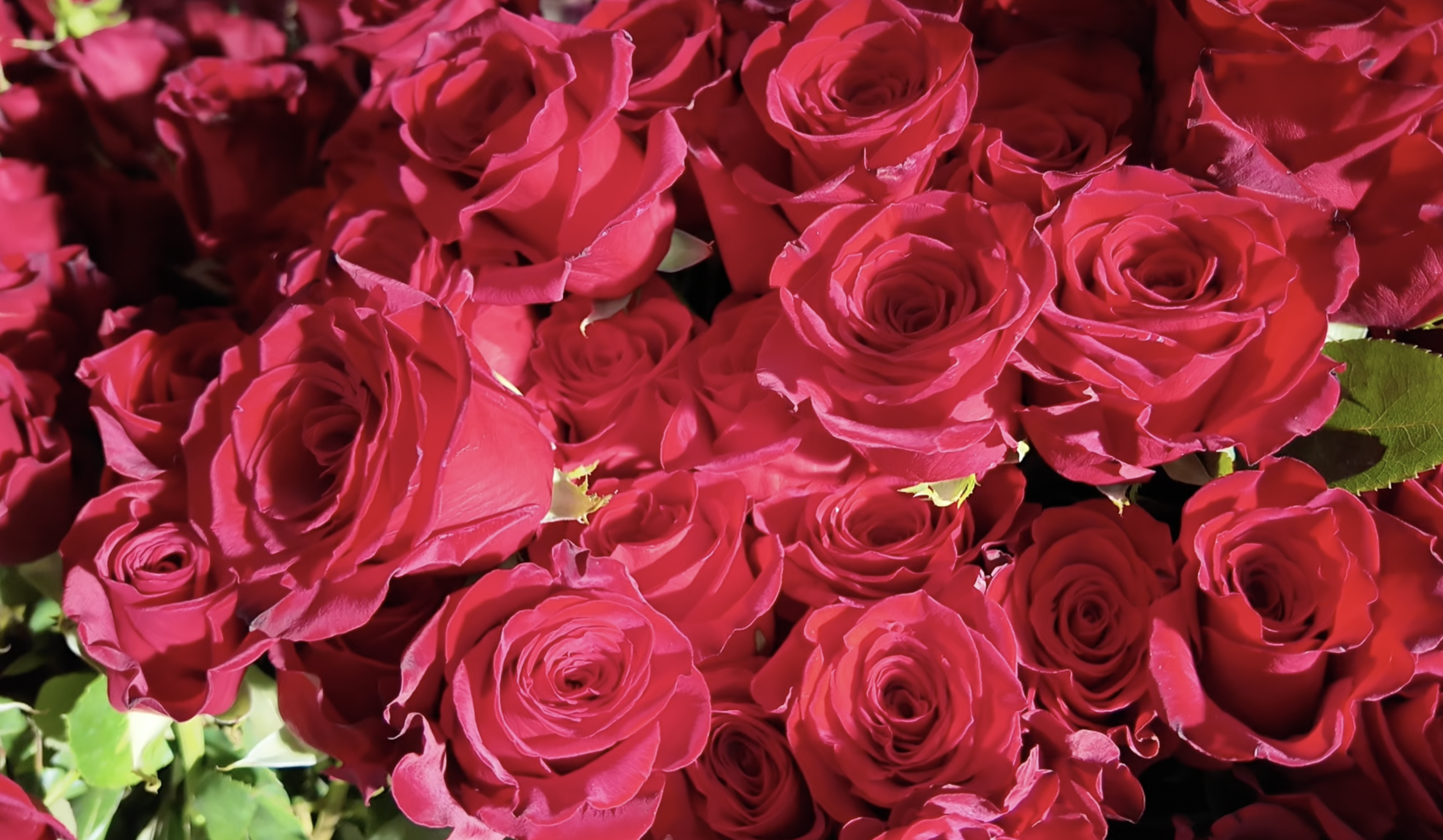 Screenshot 2026-02-09 at 10.05.54 AM.png