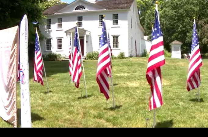 field of flags