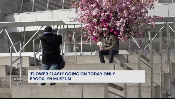 Brooklyn residents flock to Brooklyn Museum for pop-up 'Flower Flash'