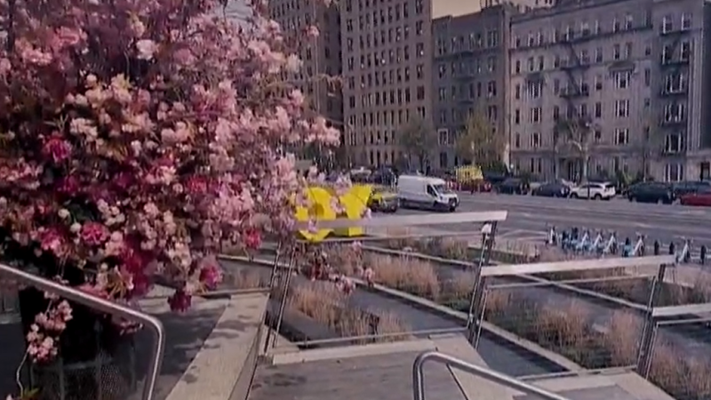 Story image: Brooklyn residents flock to Brooklyn Museum for pop-up 'Flower Flash'