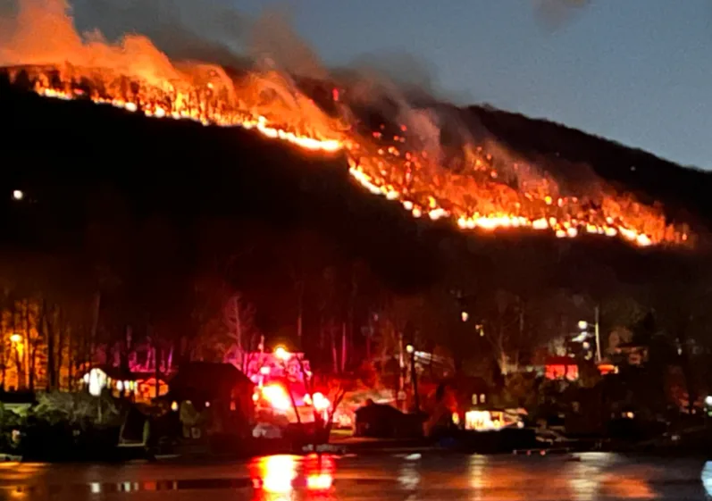 wildfire.PNG